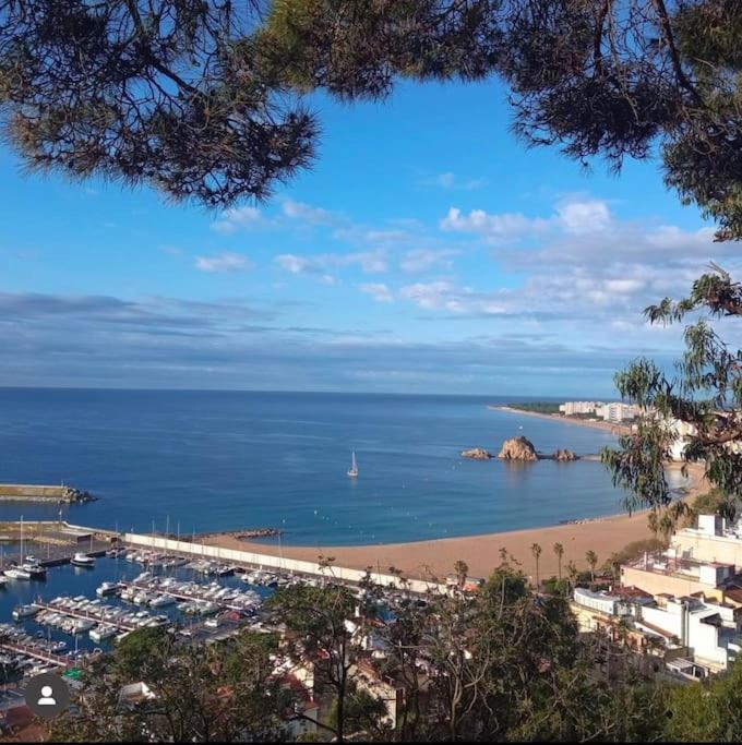 Apartment Piso Ideal Familia Ubicado Cerca Del Mar Blanes